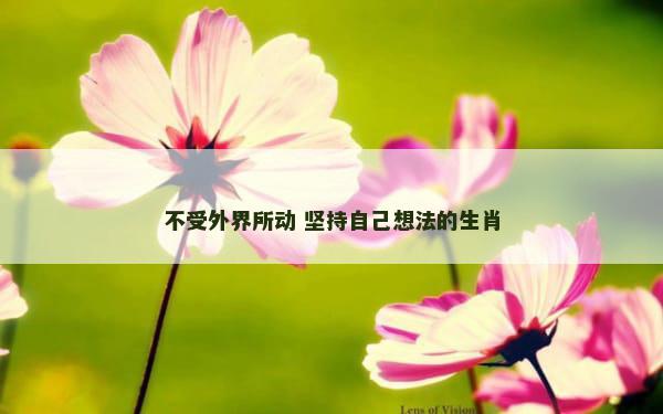 不受外界所动 坚持自己想法的生肖