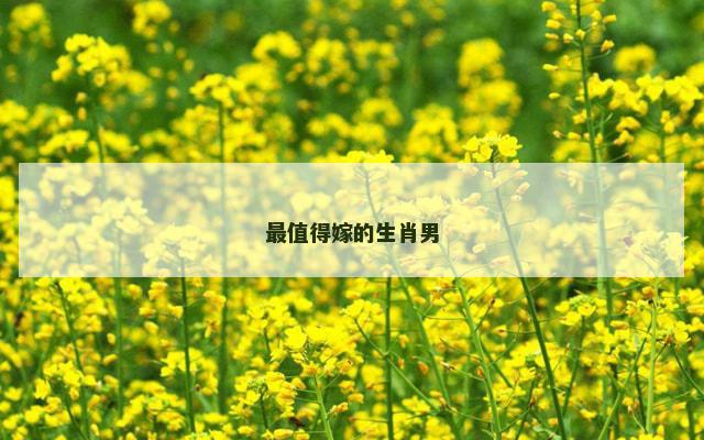 最值得嫁的生肖男