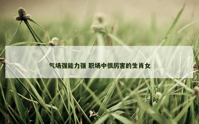 气场强能力强 职场中很厉害的生肖女