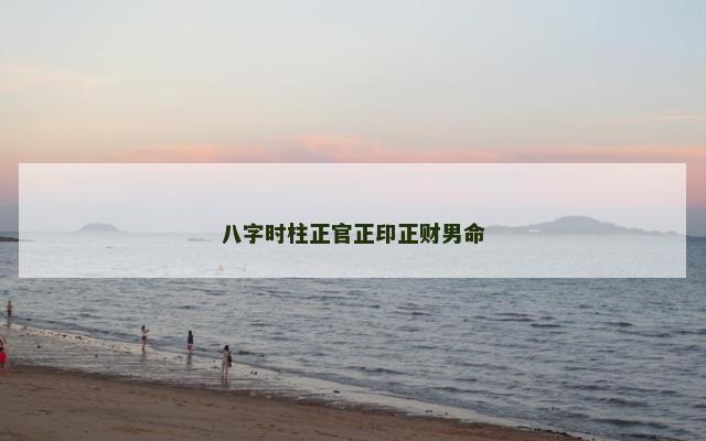八字时柱正官正印正财男命
