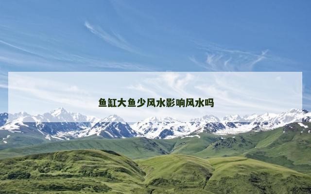 鱼缸大鱼少风水影响风水吗