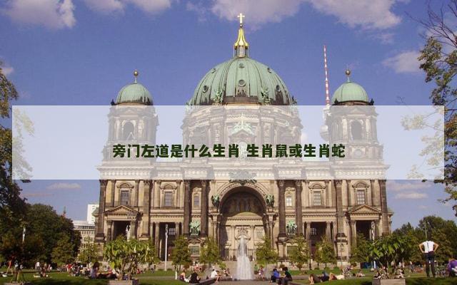 旁门左道是什么生肖 生肖鼠或生肖蛇