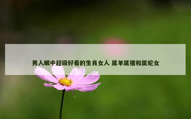 男人眼中超级好看的生肖女人 属羊属猪和属蛇女