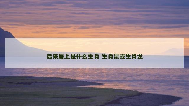 后来居上是什么生肖 生肖鼠或生肖龙