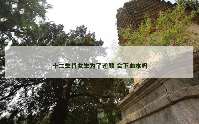 十二生肖女生为了逆颜 会下血本吗