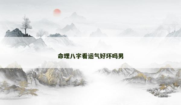 命理八字看运气好坏吗男
