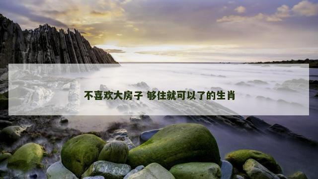 不喜欢大房子 够住就可以了的生肖