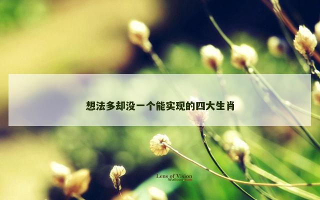 想法多却没一个能实现的四大生肖