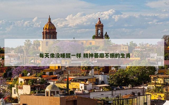 每天像没睡醒一样 精神萎靡不振的生肖
