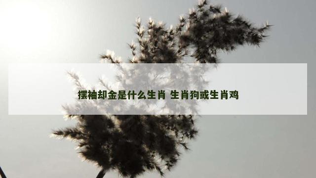 摆袖却金是什么生肖 生肖狗或生肖鸡