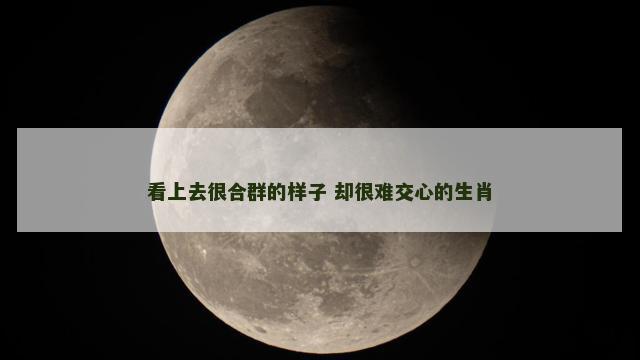 看上去很合群的样子 却很难交心的生肖