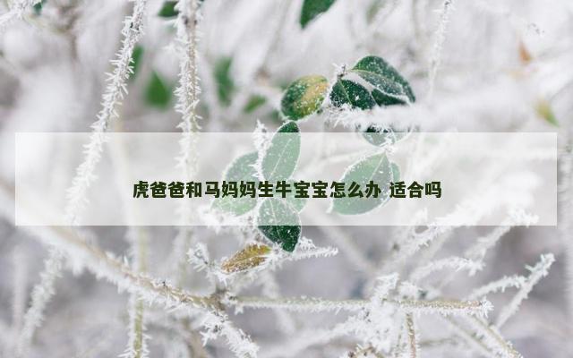 虎爸爸和马妈妈生牛宝宝怎么办 适合吗