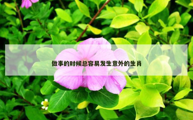 做事的时候总容易发生意外的生肖