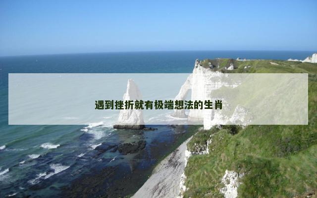 遇到挫折就有极端想法的生肖