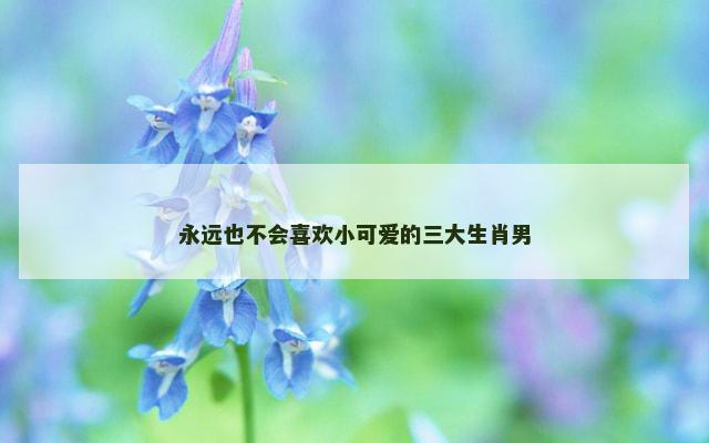 永远也不会喜欢小可爱的三大生肖男