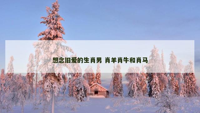 想念旧爱的生肖男 肖羊肖牛和肖马