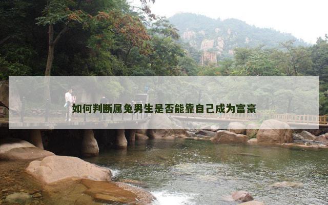 如何判断属兔男生是否能靠自己成为富豪