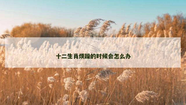 十二生肖烦躁的时候会怎么办