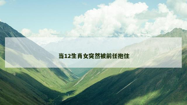 当12生肖女突然被前任抱住