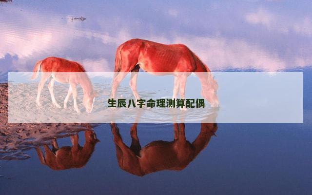 生辰八字命理测算配偶