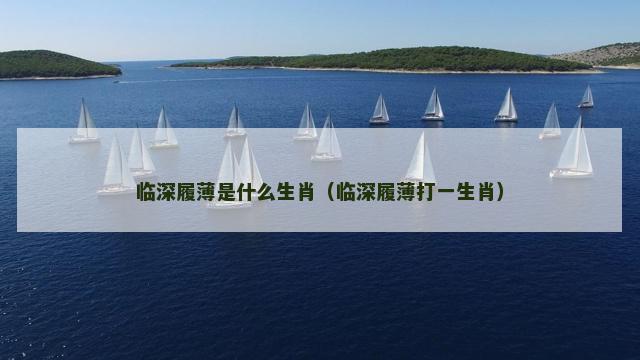 临深履薄是什么生肖（临深履薄打一生肖）