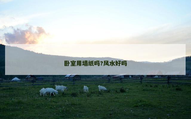 卧室用墙纸吗?风水好吗