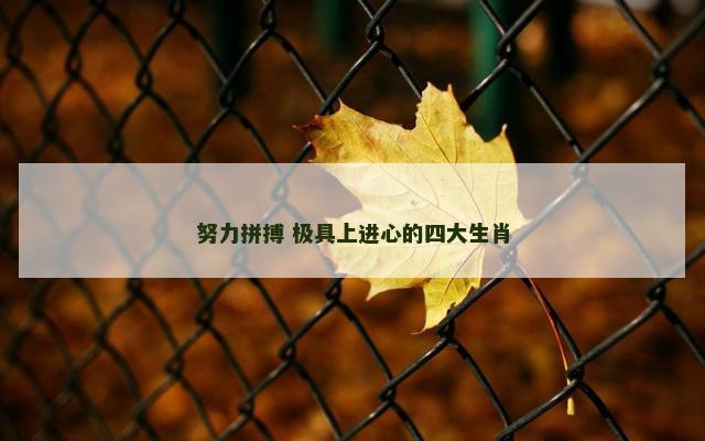 努力拼搏 极具上进心的四大生肖