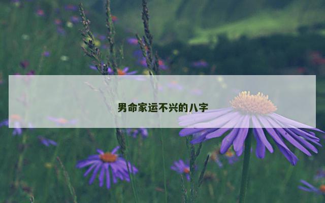 男命家运不兴的八字