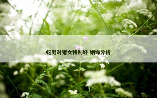 蛇男对猪女特别好 姻缘分析