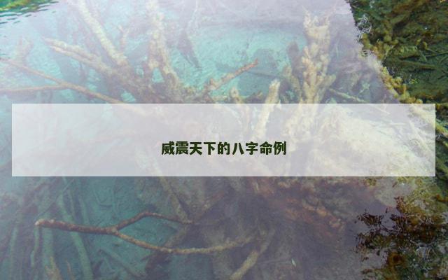 威震天下的八字命例