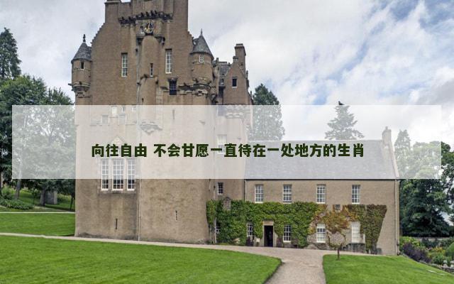向往自由 不会甘愿一直待在一处地方的生肖