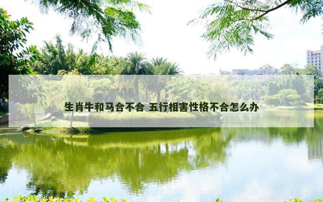 生肖牛和马合不合 五行相害性格不合怎么办
