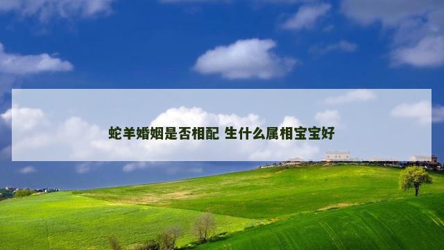 蛇羊婚姻是否相配 生什么属相宝宝好