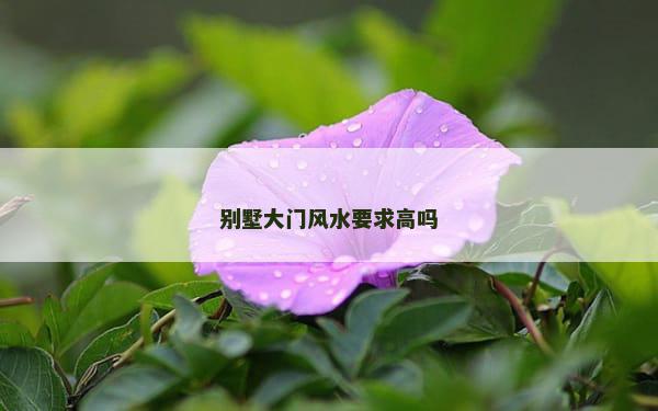 别墅大门风水要求高吗