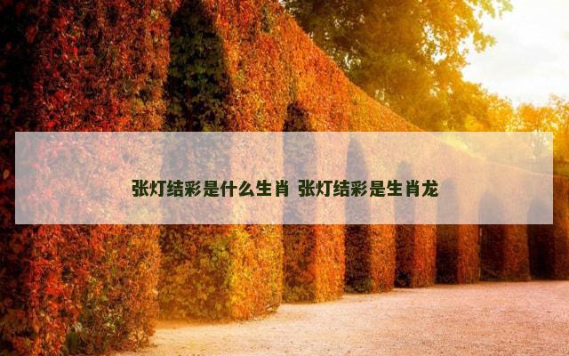 张灯结彩是什么生肖 张灯结彩是生肖龙