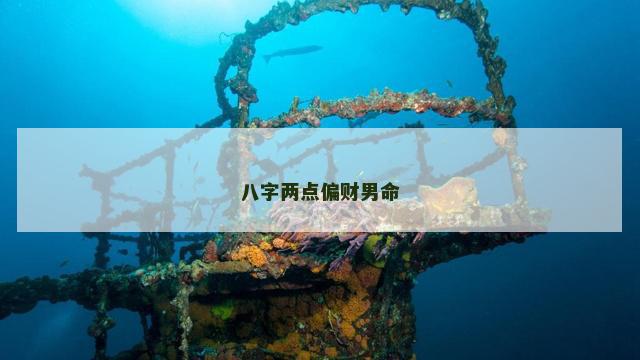 八字两点偏财男命