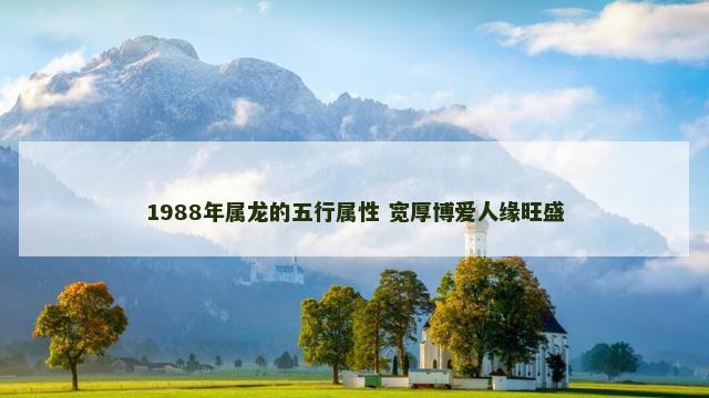 1988年属龙的五行属性 宽厚博爱人缘旺盛