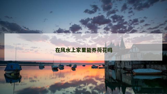在风水上家里能养荷花吗