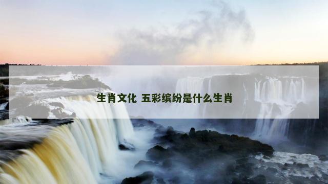 生肖文化 五彩缤纷是什么生肖
