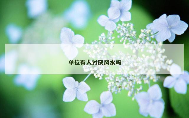 单位有人讨厌风水吗