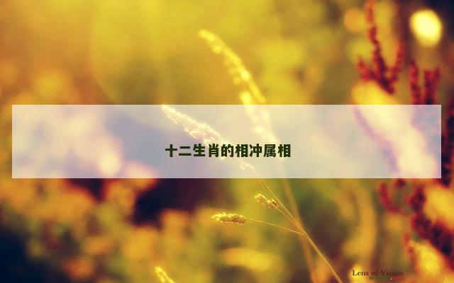 十二生肖的相冲属相
