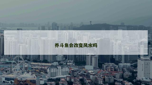 养斗鱼会改变风水吗