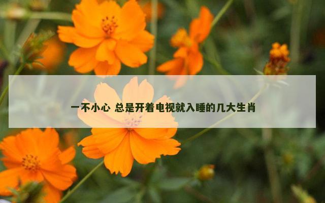 一不小心 总是开着电视就入睡的几大生肖