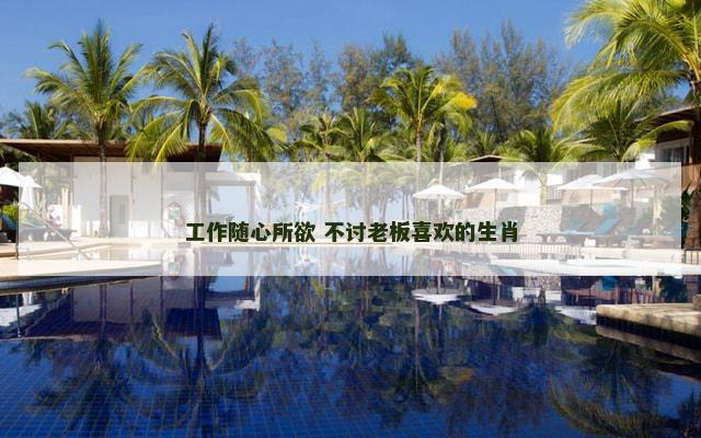 工作随心所欲 不讨老板喜欢的生肖
