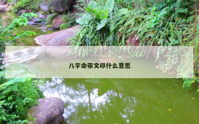 八字命带文印什么意思