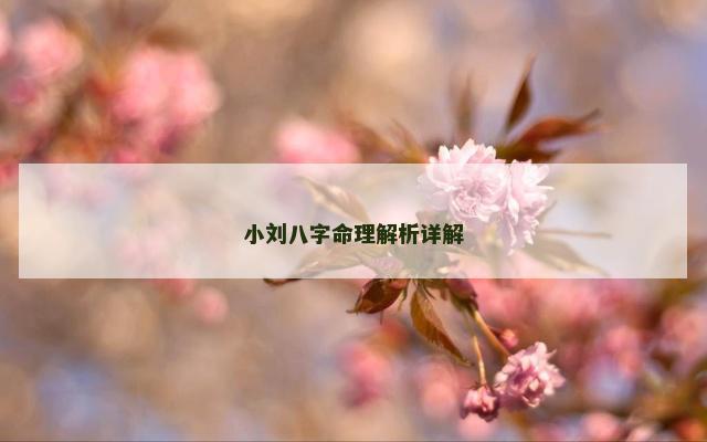 小刘八字命理解析详解