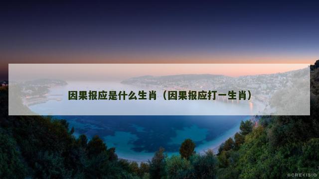 因果报应是什么生肖（因果报应打一生肖）