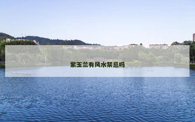 紫玉兰有风水禁忌吗