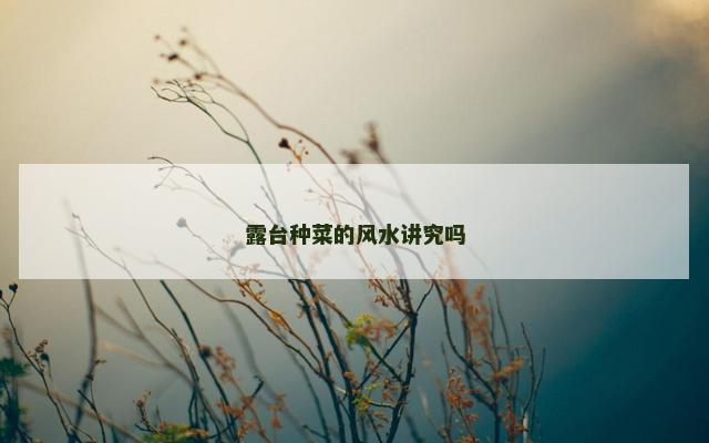 露台种菜的风水讲究吗