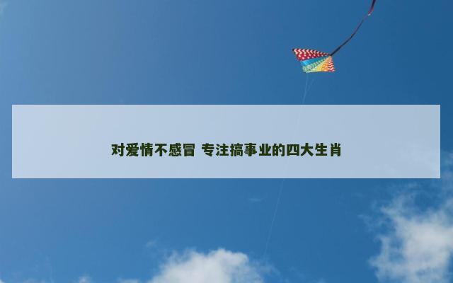 对爱情不感冒 专注搞事业的四大生肖